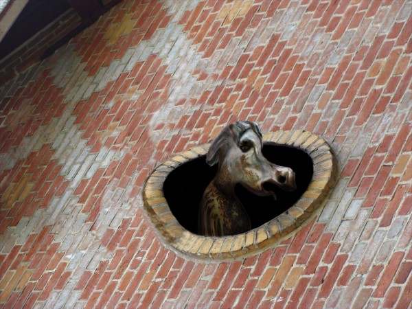 Sewer Boar